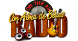 Con Alma de Blues en vivo