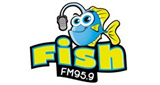 Radio Fish en vivo