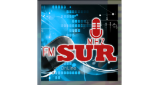 Radio Fm Sur