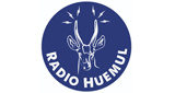 Radio Huemul en vivo