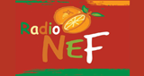 Radio NeF