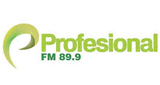 Radio Profesional en vivo