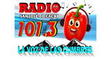 Radio San Jose de Cachi 101.3 en vivo