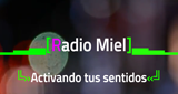 RadioMiel en vivo